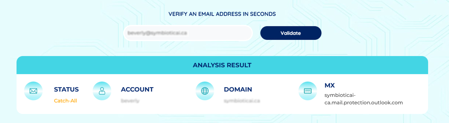 ExactVerify tool detecting a catch-all email domain